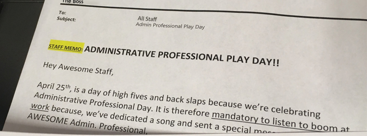 Admin Professional Play Day