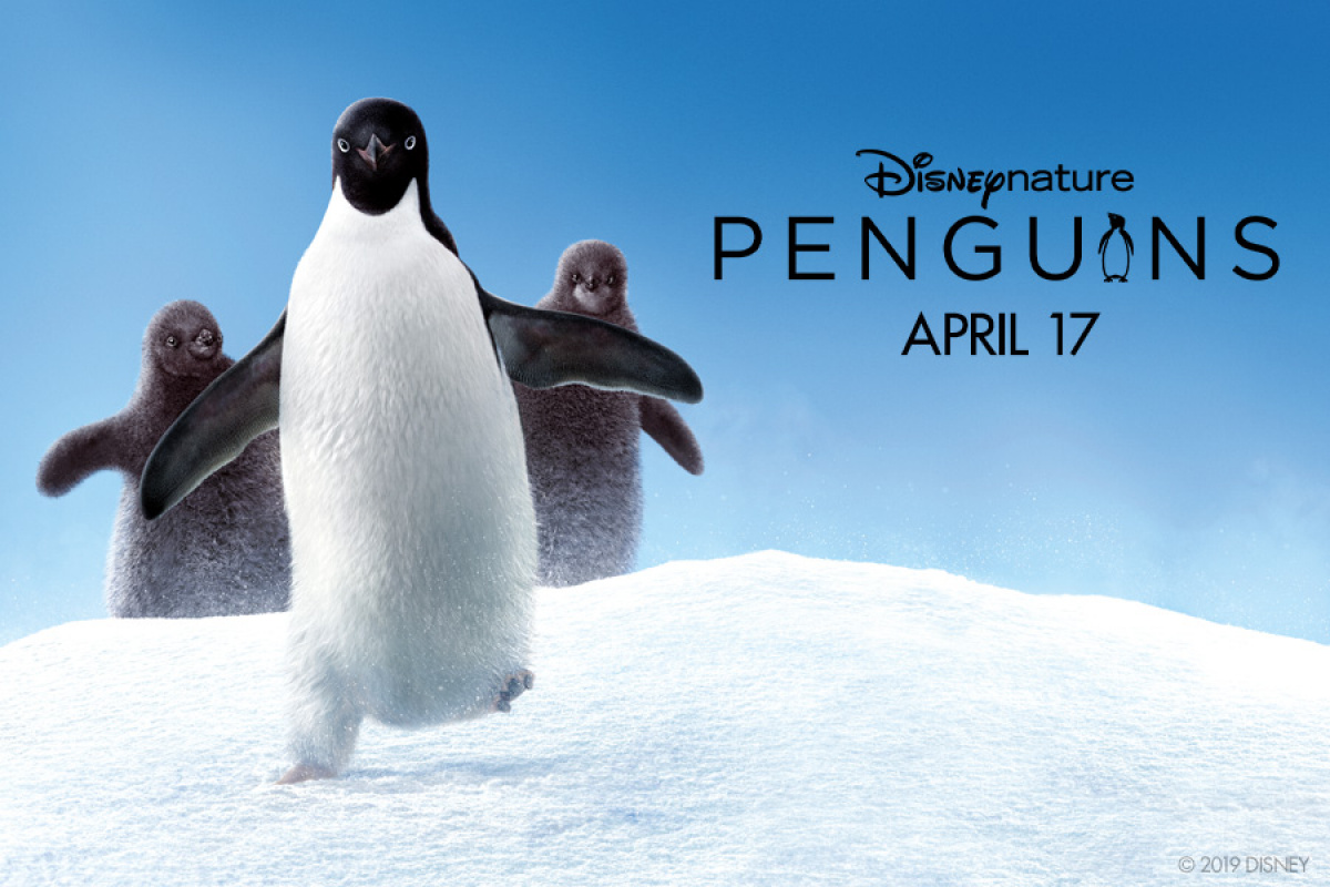 Win Passes to see Disneynature's The Penguins!