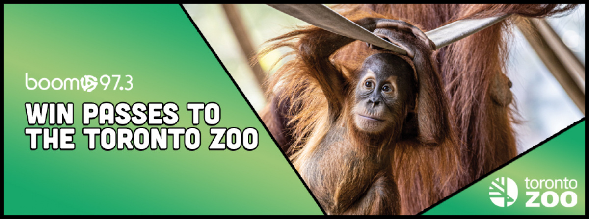 Win passes to the Toronto Zoo